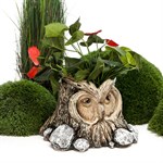 Кашпо для цветов