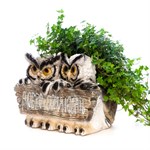 Садовое кашпо Садовое кашпо