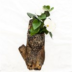 Кашпо для цветов