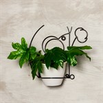 Цветочница настенная