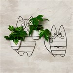 Цветочница настенная