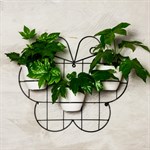 Цветочница настенная