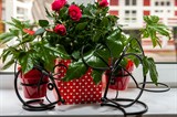 Кованые подставки для цветов