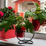 Подставка для цветов кованая