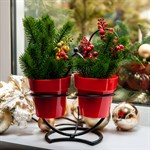 Цветочница металлическая на подоконник для 2-х кашпо 14-725 d=10см 14-725 - фото 54553