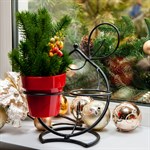 Цветочница металлическая на подоконник для 2-х кашпо 14-725 d=10см 14-725 - фото 54554