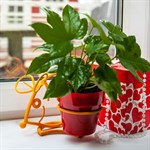 Подставка для цветов кованая