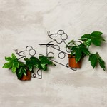 Настенные подставки для цветов