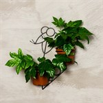 Настенная подставка для цветов