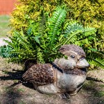 Кашпо для цветов