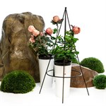 опора для роста растений