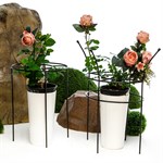 Опора для растений 57-904