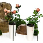 Опора полукруглая металлическая для пионов 57-906 высота 50см 57-906 - фото 56185