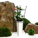 Опора для растений металлическая круглая  57-913 h=80 см 57-913 - фото 56234