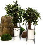 Садовая опора для вьющихся растений 57-916 металл высота 96 см 57-916 - фото 56258 Садовая опора для вьющихся растений 57-916 металл высота 96 см 57-916 - фото 56258