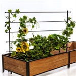 Шпалера для растений