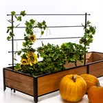 Кованая шпалера