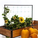 Кованая шпалера