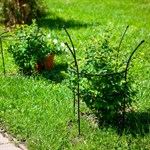 Опора круглая для садовых роз 57-905 высота 68см металлическая 57-905 - фото 56424