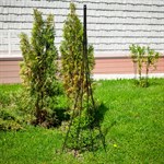 Кованая опора для роз