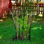 Опора для растений