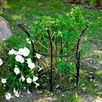 Опора для растений