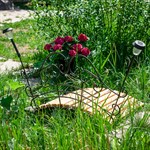 Мостик кованый