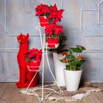 Стойка для цветов 14-103-WG 14-103-WG - фото 57504