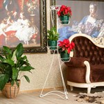 Стойка для цветов 14-105-WG 14-105-WG - фото 57517