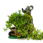 Кашпо для цветов Крыса F08686 F08686 - фото 57702 Кашпо для цветов Крыса F08686 F08686 - фото 57702