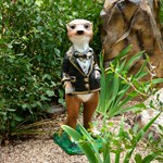 Садовая фигура F07655