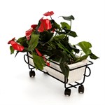 Кованая подставка для цветов