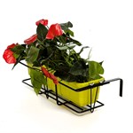 Кованая подставка для цветов