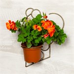 Настенная подставка для цветов Настенная подставка для цветов