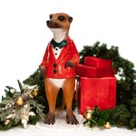 Фигура садовая Сурикат в пиджаке F07655 h=85 см F07655 - фото 59234