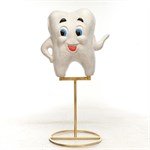 Рекламная фигура Зуб U07950 - фото 59505