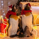 Фигура Пингвин U08703 - фото 59761