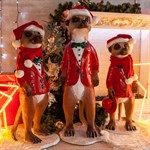 Фигура для сада Сурикат со шляпкой F07656 полистоун h=75 см F07656 - фото 59763