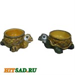 Черепахи Черепахи