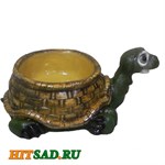 Черепаха большая Черепаха большая