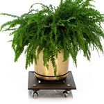 для декора интерьера