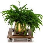 Напольная подставка для цветов 12-089 12-089 - фото 60417