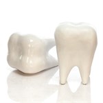 Фигура объемная Зуб U08753 - фото 60451 Фигура объемная Зуб U08753 - фото 60451