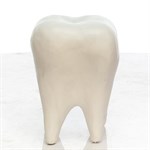 Фигура объемная Зуб U08753 - фото 60454 Фигура объемная Зуб U08753 - фото 60454