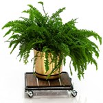 Напольная подставка для цветов 12-090 12-090 - фото 61196