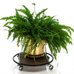 Подставка напольная на колёсиках для цветов 12-092 12-092 - фото 61217