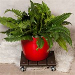 Подставка для цветов 12-080 12-080 - фото 61227 Подставка для цветов 12-080 12-080 - фото 61227