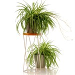 Кованая подставка для цветов