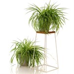 Напольная подставка для цветов Напольная подставка для цветов