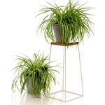 Кованая подставка для цветов Кованая подставка для цветов